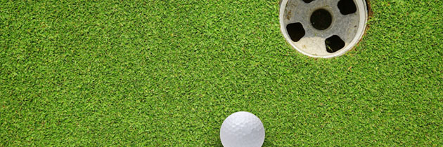 Thanks Phoenix And Going Golfing Today (Well, not really)