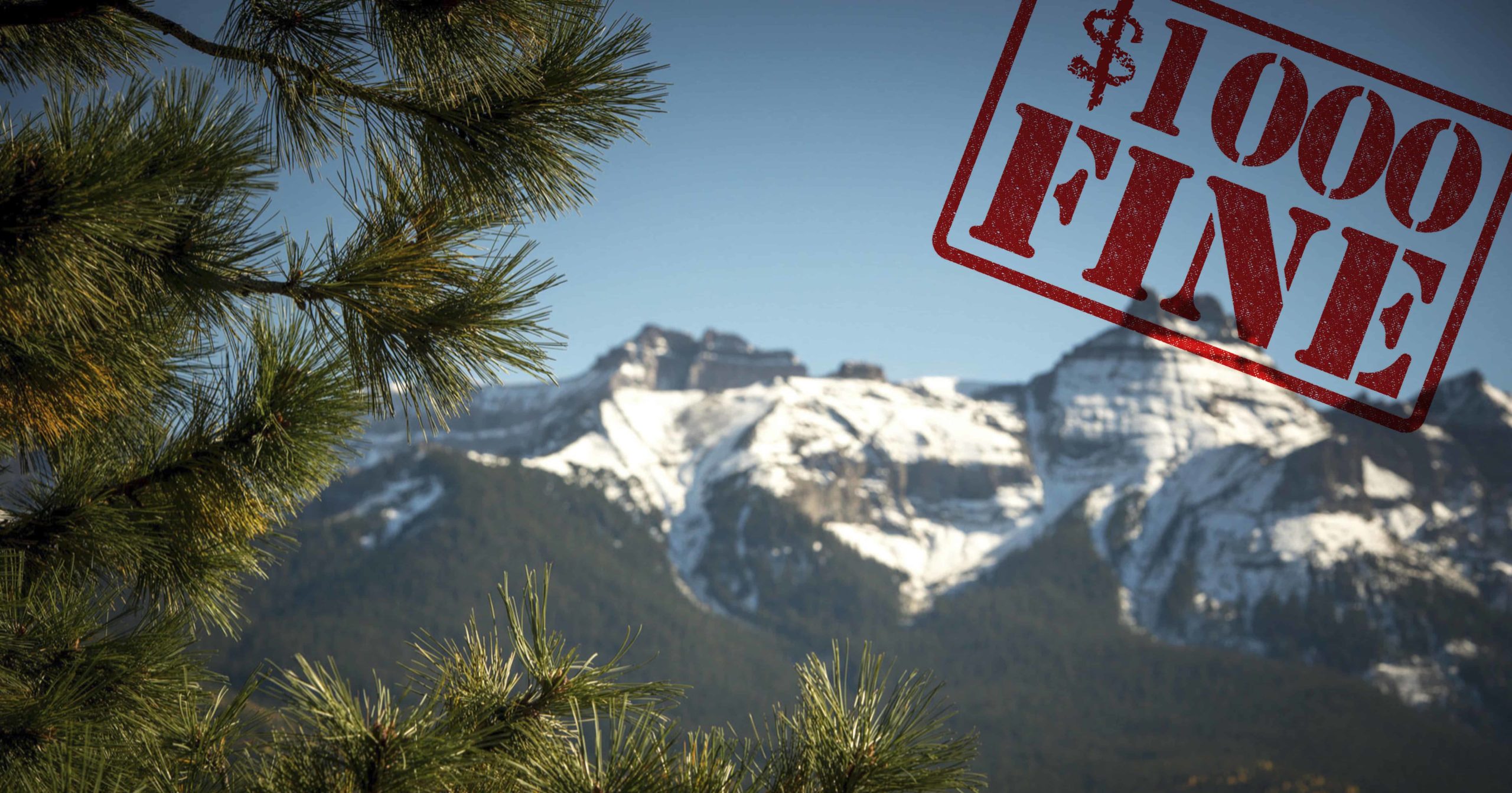 My Thoughts On the National Forest Service Fining Photographers $1000
