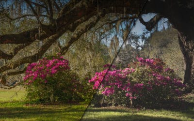 Channel Masks and Spring Color
