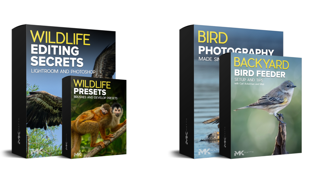 Bird and Wildlife Bundle