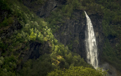 Get the Most From Adobe #8: Adobe Capture