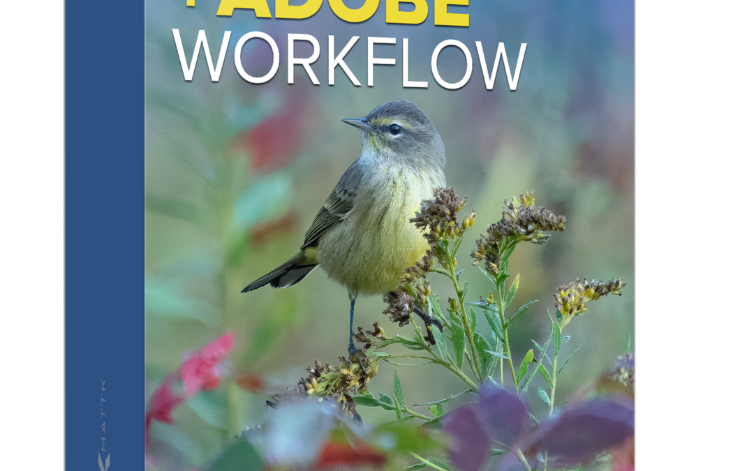 Topaz Photo AI and Adobe Workflow