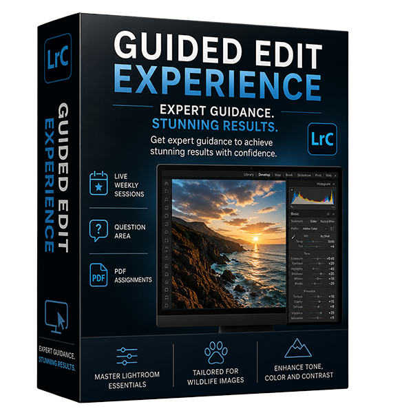 Lightroom for Wildlife – Guided Edit Experience