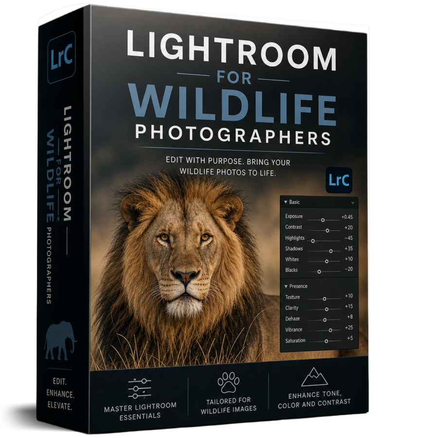 Lightroom for Wildlife Photography