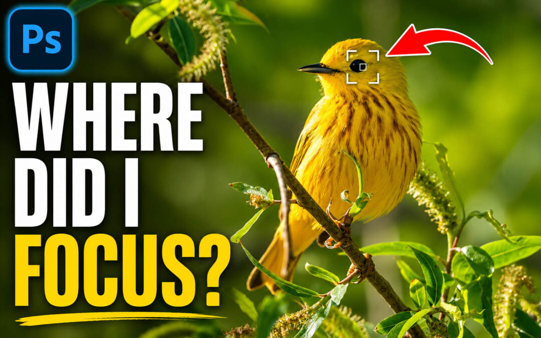 Showing Your Focus Points in Photoshop’s Camera Raw