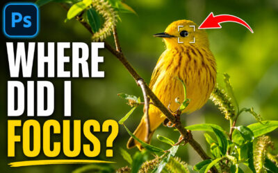Showing Your Focus Points in Photoshop’s Camera Raw