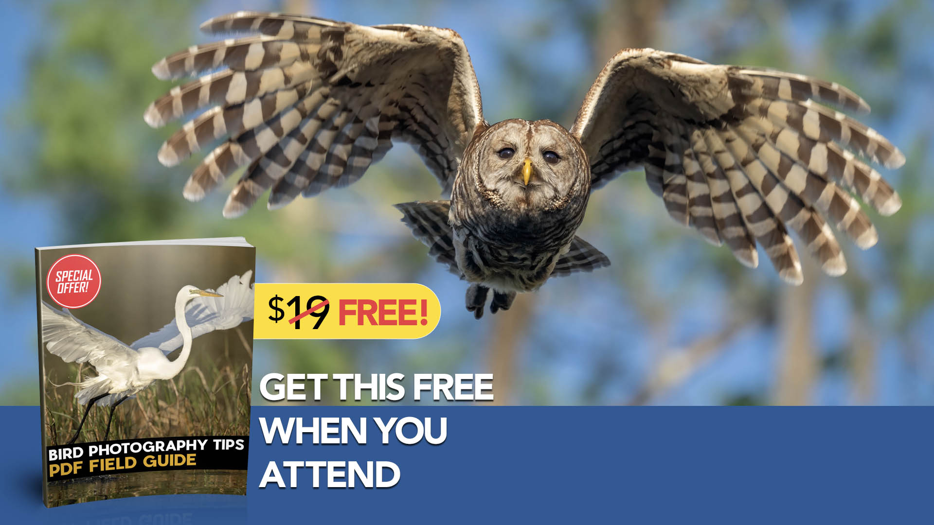 webinar-static-ad